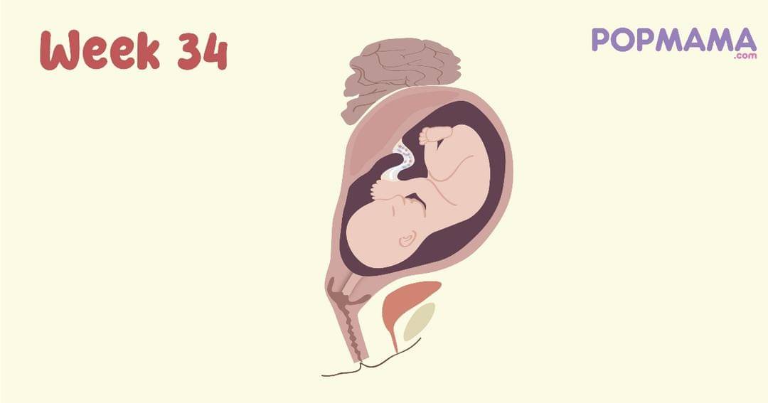 Popmama.com/Aristika Medinasari